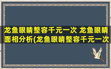 龙鱼眼睛整容千元一次 龙鱼眼睛面相分析(龙鱼眼睛整容千元一次，面相分析告诉你龙鱼为何如此受欢迎！)